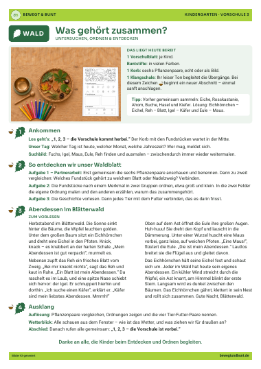 Handout Vorschule Wald 3: Was gehört zusammen?